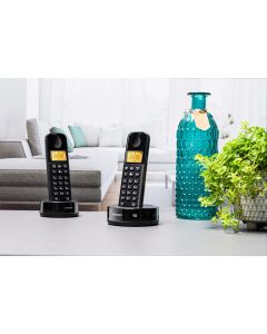 Telefono cordless Philips D1602B/01 - 2 set