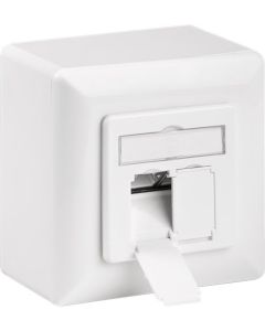 CAT 6 universale Piastra a parete incl. telaio di montaggio a parete bianco